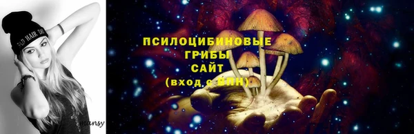 спайс Абдулино