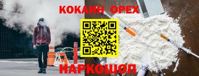 мдпв Кингисепп