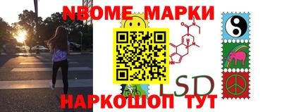 мдпв Кингисепп