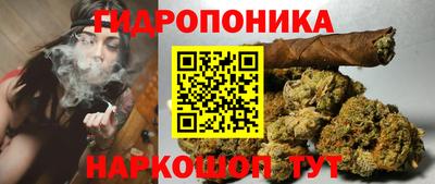 амф Коммунар