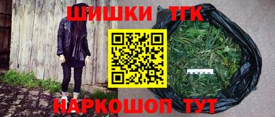 мдпв Кингисепп
