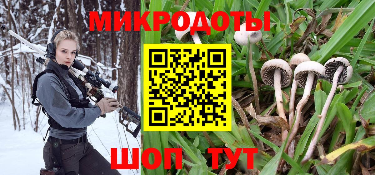 Галлюциногенные грибы Psilocybine cubensis  Галлюциногенные грибы Magic Shrooms  Кохма  Вход с VPN 